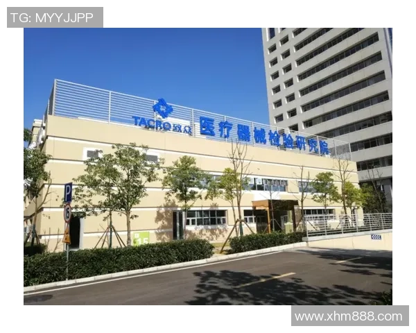 武汉飞盘队运营创新探索：重塑团队发展新模式与未来愿景